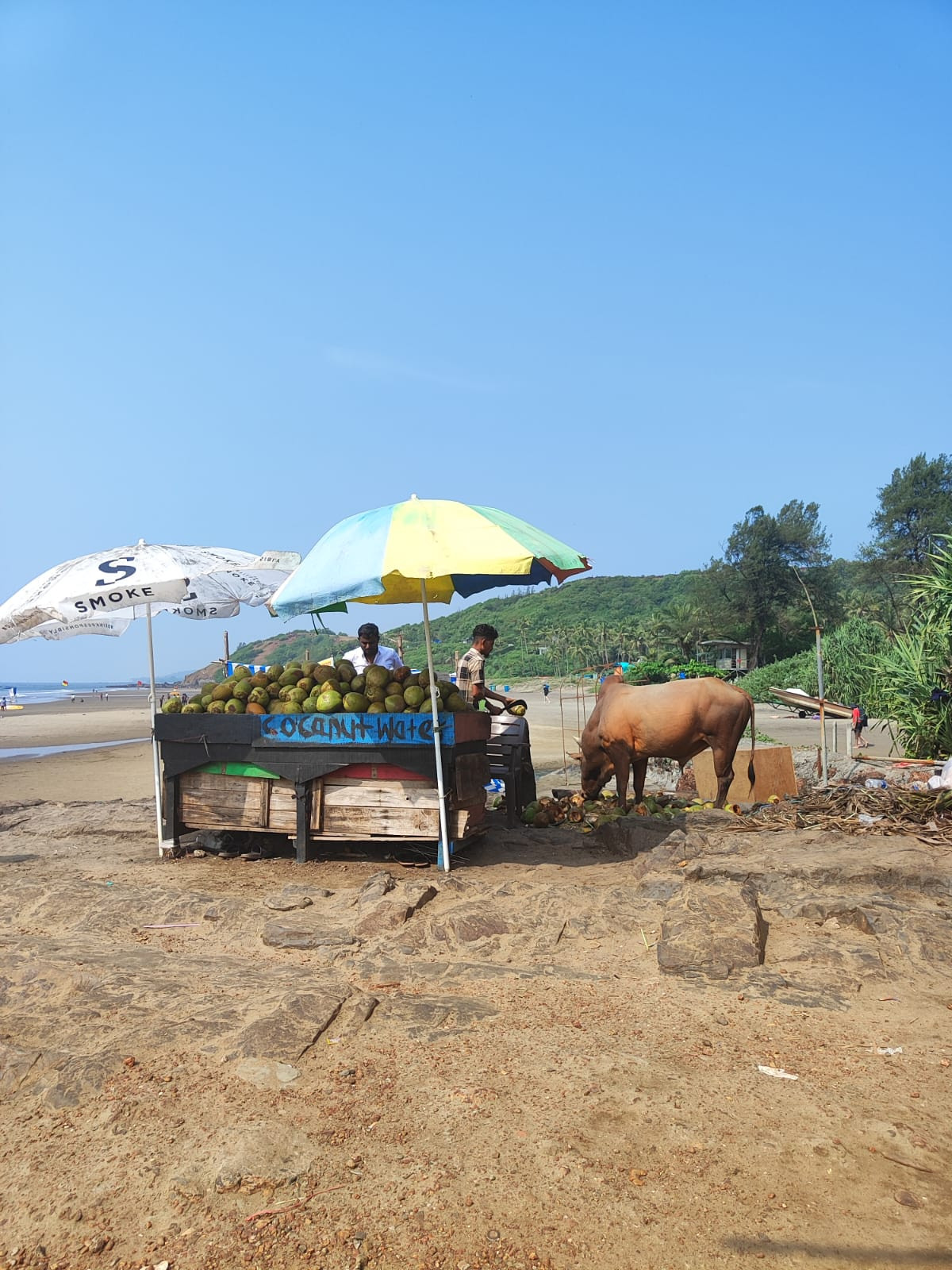 Travel Smart in 2025: How to Protect Your Money from Rising Currency Scams